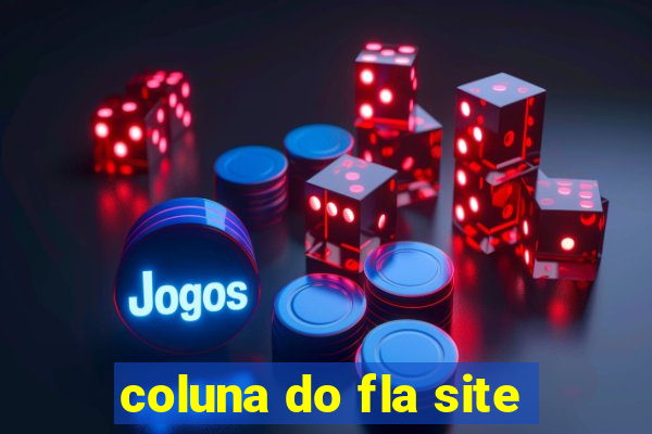 coluna do fla site