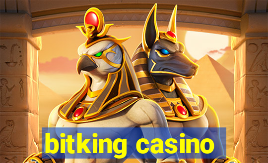 bitking casino