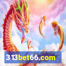 313bet66.com