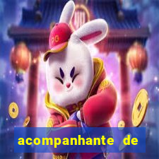 acompanhante de nova mutum