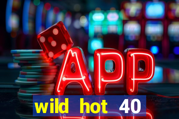 wild hot 40 christmas slot