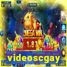 videoscgay