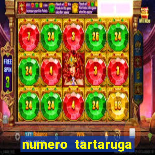 numero tartaruga jogo do bicho