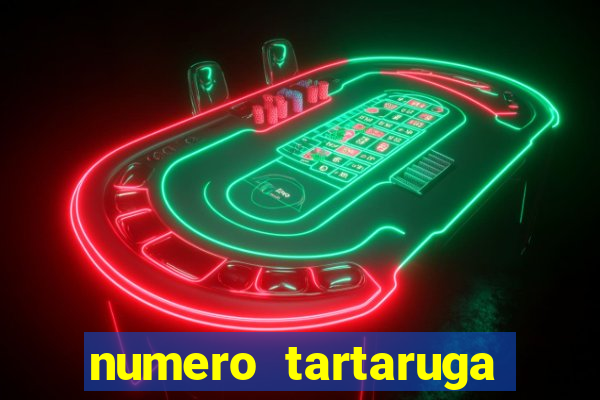 numero tartaruga jogo do bicho