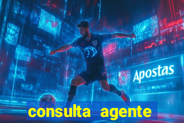 consulta agente autuador sp