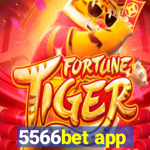 5566bet app