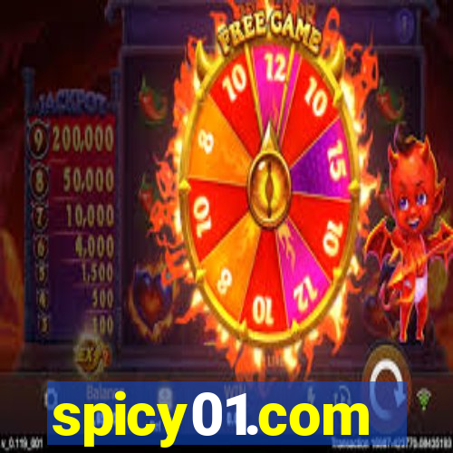 spicy01.com