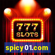 spicy01.com