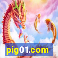 pig01.com