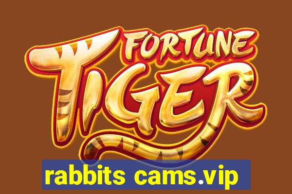 rabbits cams.vip