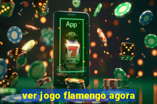 ver jogo flamengo agora