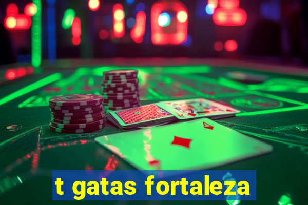 t gatas fortaleza