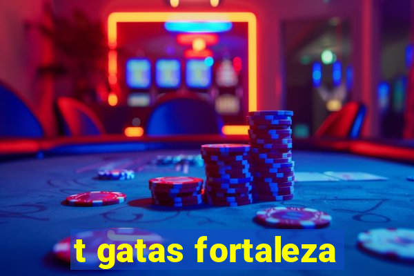 t gatas fortaleza