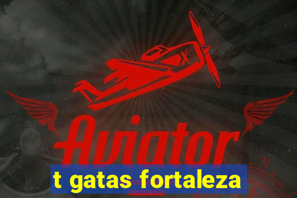 t gatas fortaleza