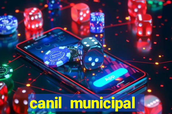 canil municipal porto alegre