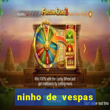 ninho de vespas significado espiritual