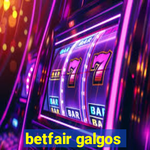 betfair galgos