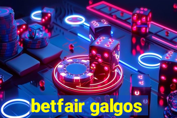 betfair galgos