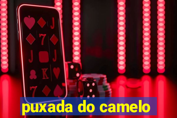 puxada do camelo