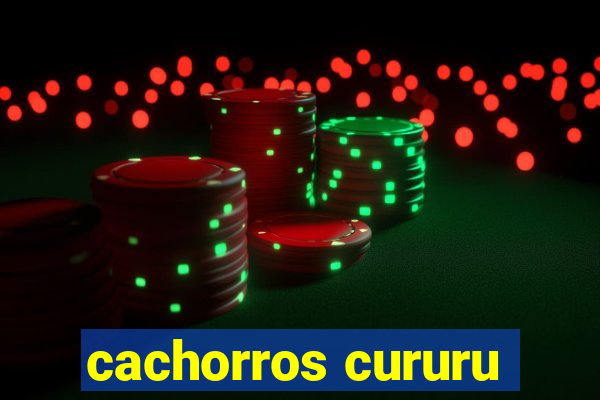 cachorros cururu