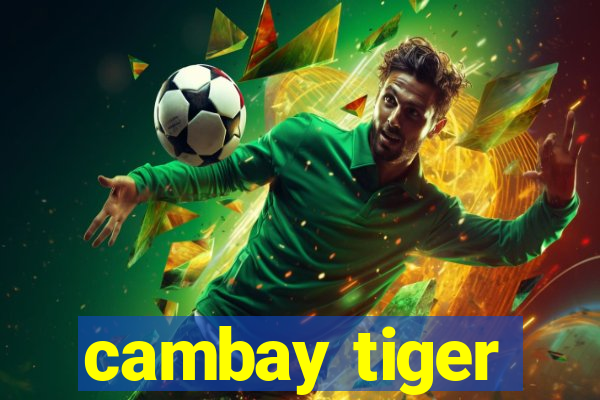 cambay tiger