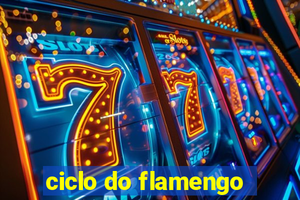 ciclo do flamengo