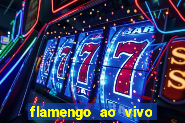 flamengo ao vivo multi tv