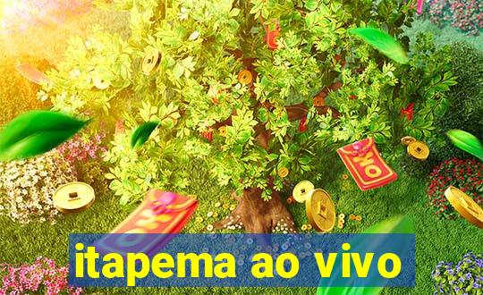 itapema ao vivo