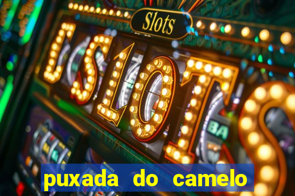 puxada do camelo jogo do bicho