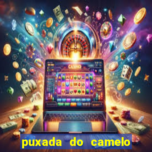 puxada do camelo jogo do bicho