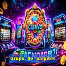 Grupo de palpites de futebol gratis