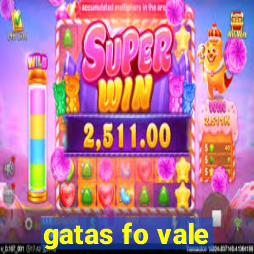 gatas fo vale