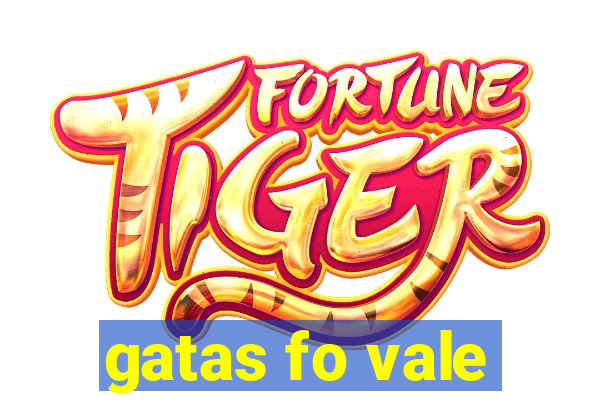 gatas fo vale