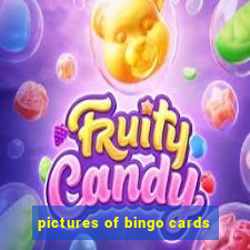 pictures of bingo cards