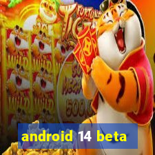 android 14 beta