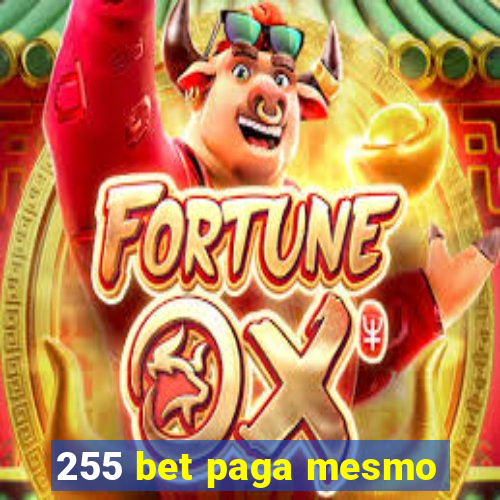 255 bet paga mesmo