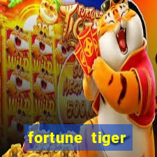 fortune tiger aposta de 1 real