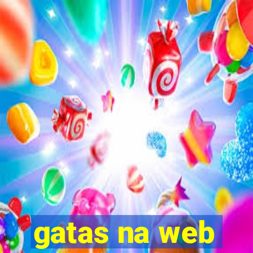 gatas na web