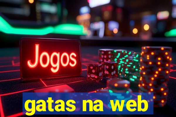 gatas na web