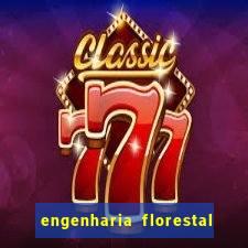 engenharia florestal ead cruzeiro do sul