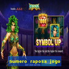 numero raposa jogo do bicho