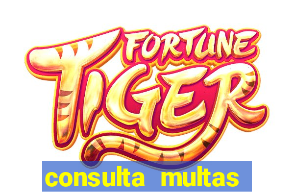 consulta multas detran mg