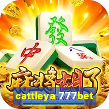 cattleya 777bet