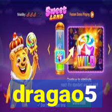 dragao5