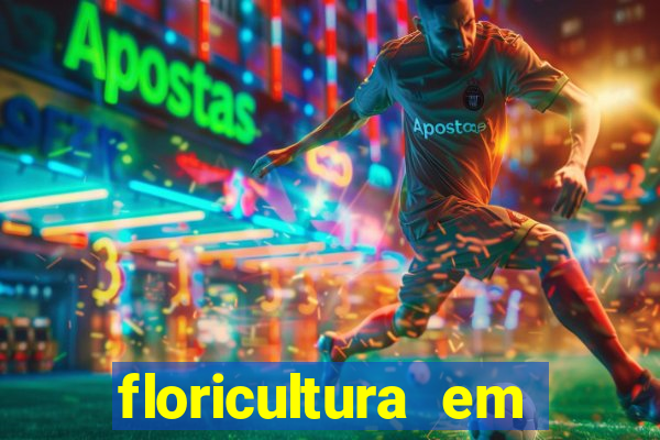 floricultura em juiz de fora