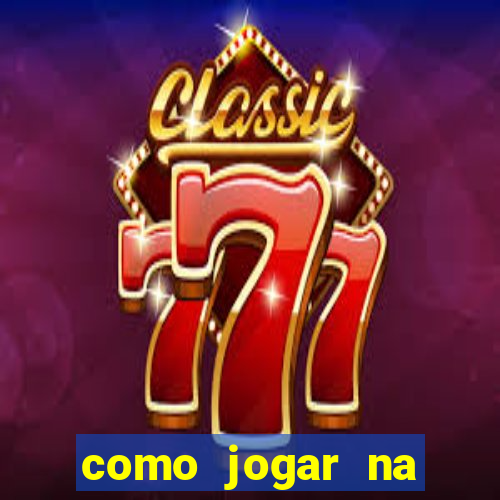 como jogar na loteria gringa online