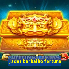 jader barbalho fortuna