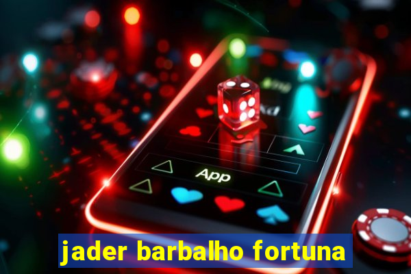 jader barbalho fortuna