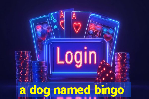 a dog named bingo