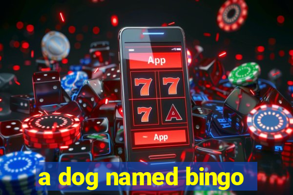 a dog named bingo